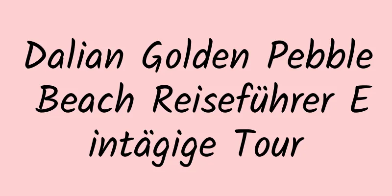 Dalian Golden Pebble Beach Reiseführer Eintägige Tour