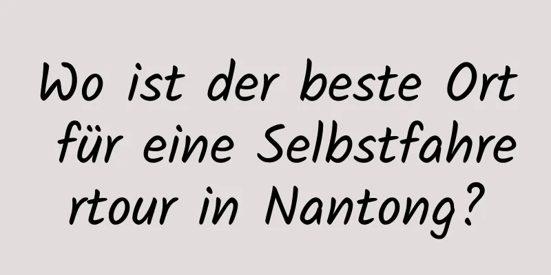 Wo ist der beste Ort für eine Selbstfahrertour in Nantong?