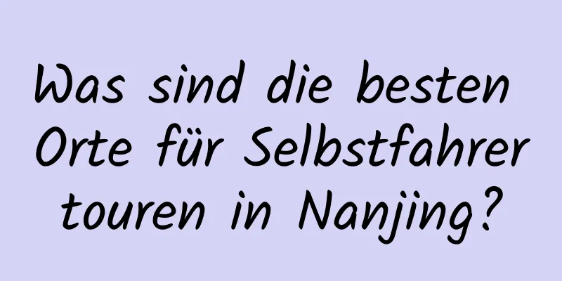 Was sind die besten Orte für Selbstfahrertouren in Nanjing?