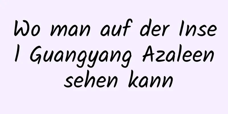 Wo man auf der Insel Guangyang Azaleen sehen kann