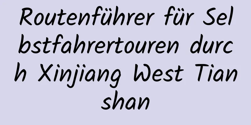 Routenführer für Selbstfahrertouren durch Xinjiang West Tianshan