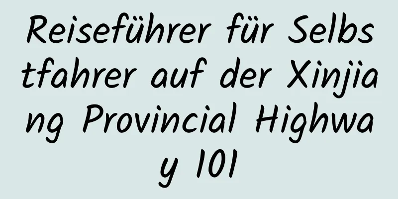 Reiseführer für Selbstfahrer auf der Xinjiang Provincial Highway 101