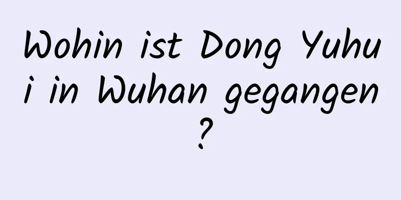 Wohin ist Dong Yuhui in Wuhan gegangen?