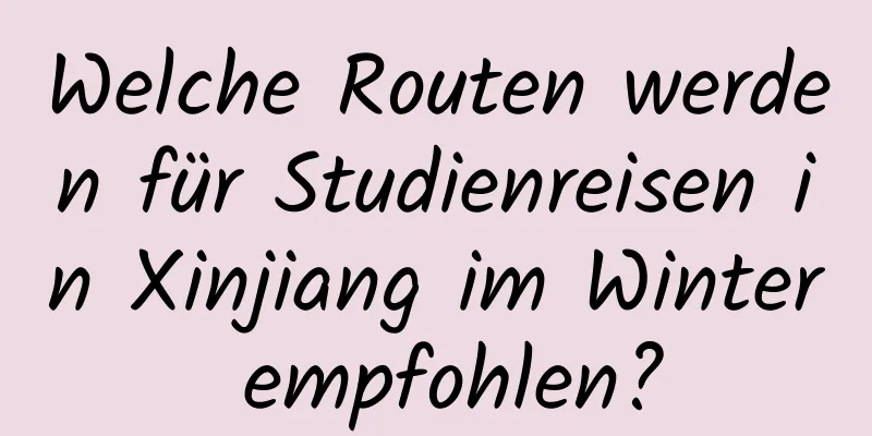 Welche Routen werden für Studienreisen in Xinjiang im Winter empfohlen?