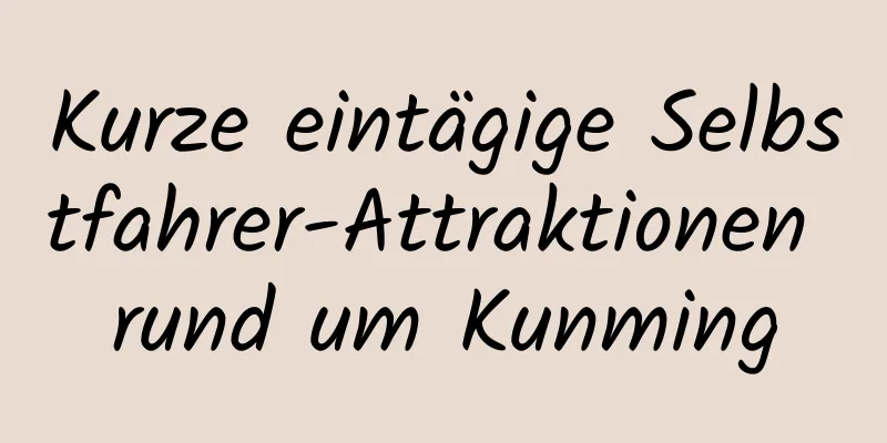 Kurze eintägige Selbstfahrer-Attraktionen rund um Kunming