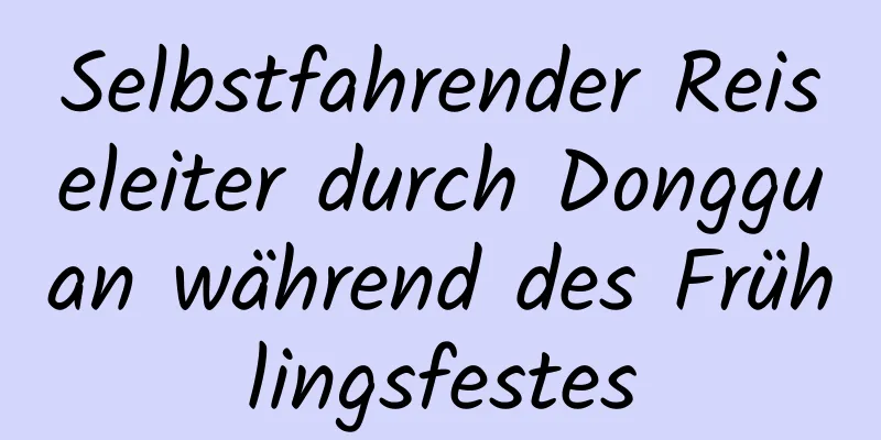 Selbstfahrender Reiseleiter durch Dongguan während des Frühlingsfestes