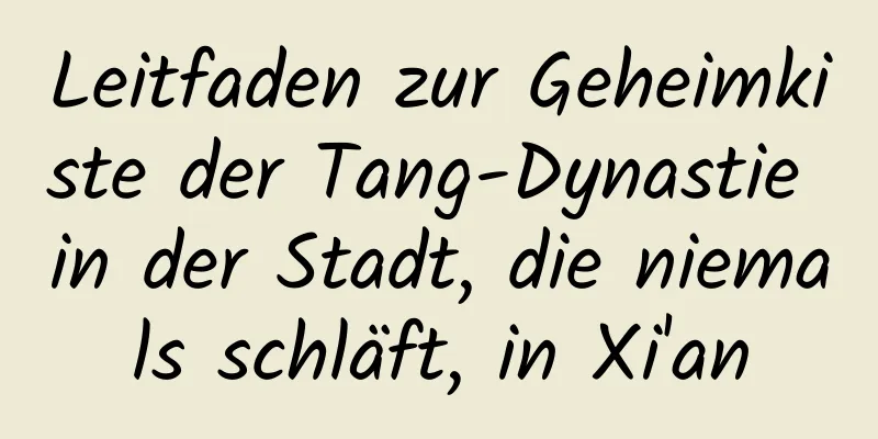 Leitfaden zur Geheimkiste der Tang-Dynastie in der Stadt, die niemals schläft, in Xi'an