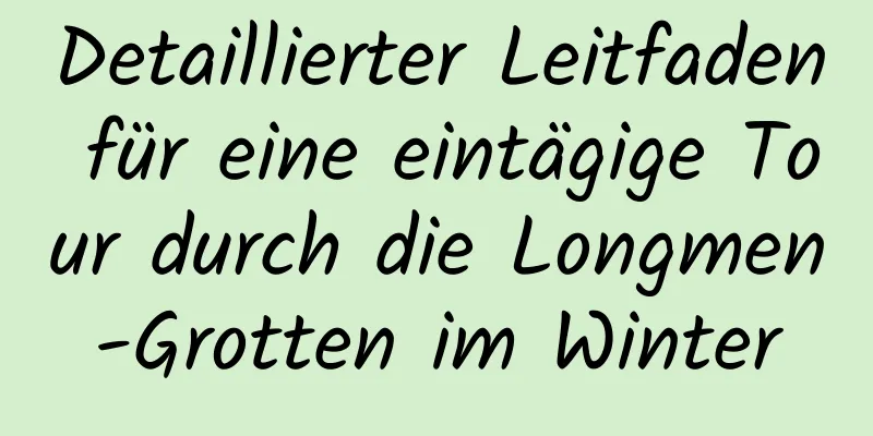 Detaillierter Leitfaden für eine eintägige Tour durch die Longmen-Grotten im Winter