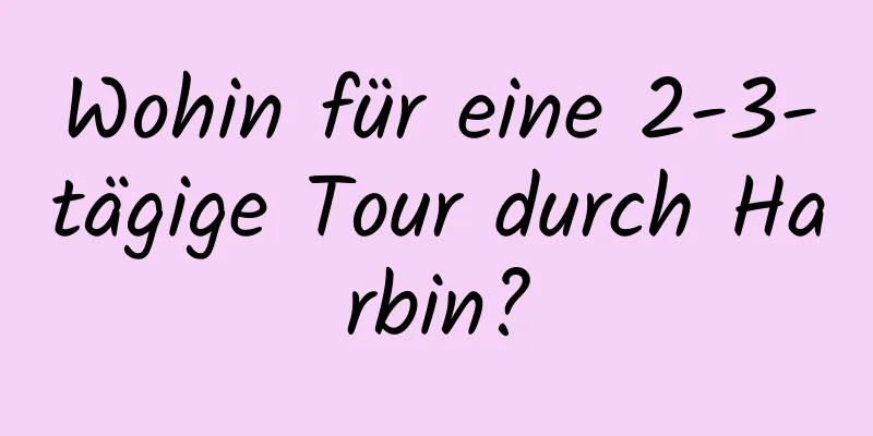 Wohin für eine 2-3-tägige Tour durch Harbin?