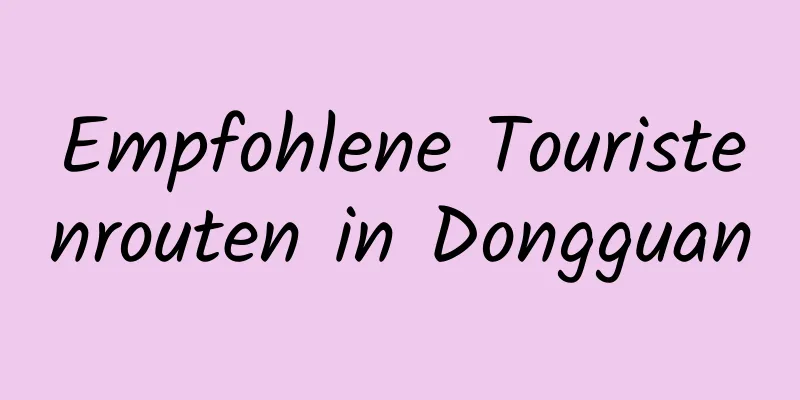 Empfohlene Touristenrouten in Dongguan