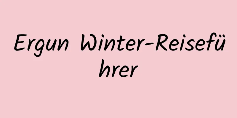 Ergun Winter-Reiseführer