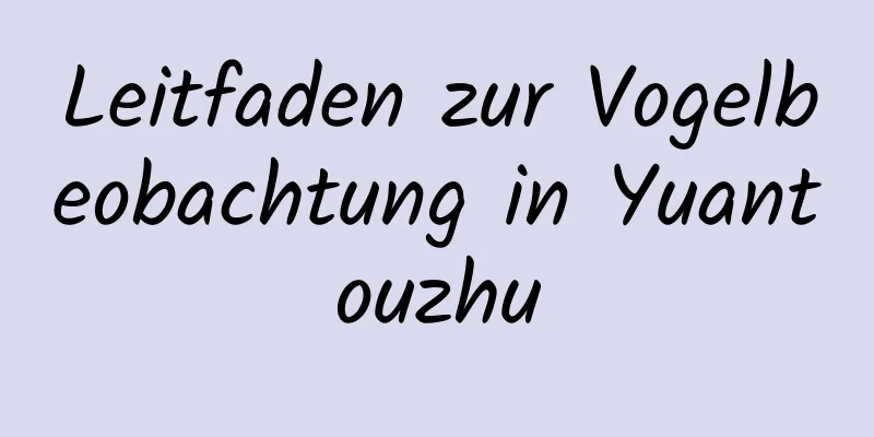 Leitfaden zur Vogelbeobachtung in Yuantouzhu