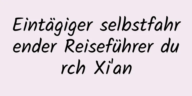 Eintägiger selbstfahrender Reiseführer durch Xi'an