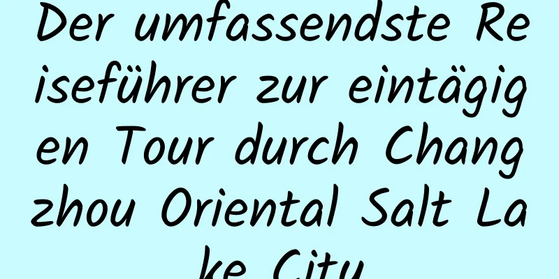 Der umfassendste Reiseführer zur eintägigen Tour durch Changzhou Oriental Salt Lake City