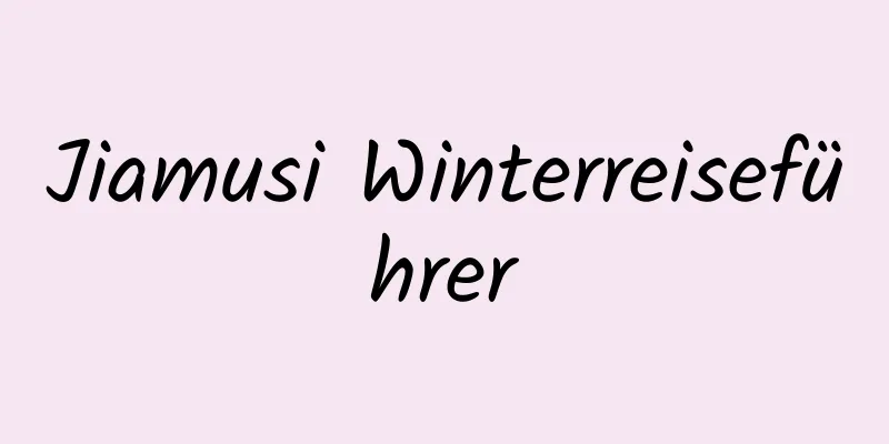 Jiamusi Winterreiseführer