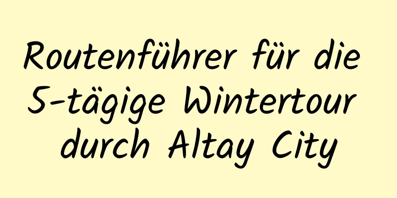 Routenführer für die 5-tägige Wintertour durch Altay City