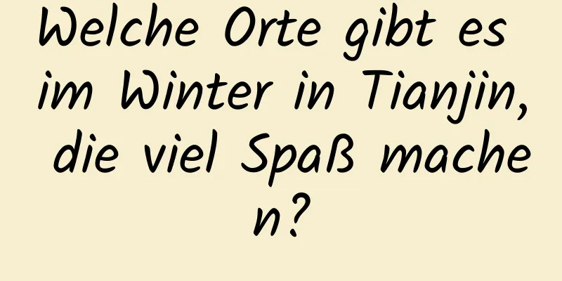 Welche Orte gibt es im Winter in Tianjin, die viel Spaß machen?