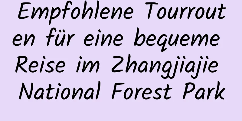 Empfohlene Tourrouten für eine bequeme Reise im Zhangjiajie National Forest Park