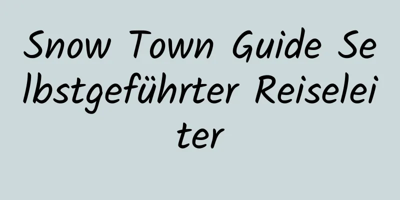 Snow Town Guide Selbstgeführter Reiseleiter