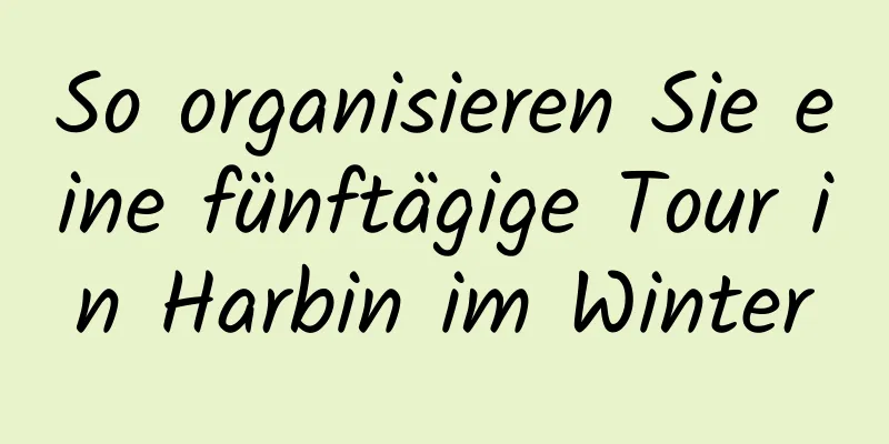 So organisieren Sie eine fünftägige Tour in Harbin im Winter