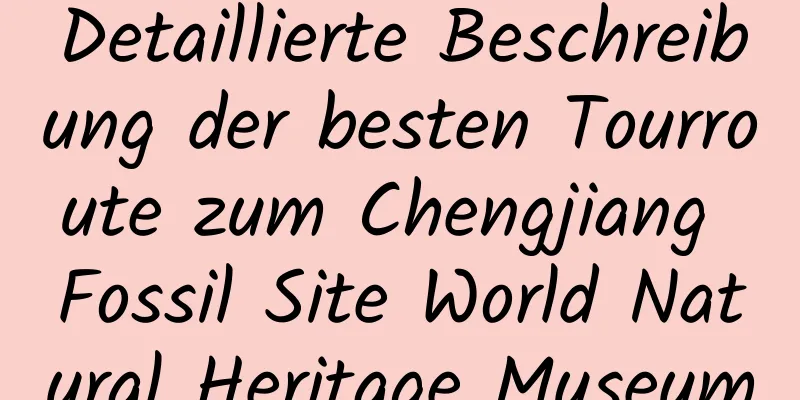 Detaillierte Beschreibung der besten Tourroute zum Chengjiang Fossil Site World Natural Heritage Museum