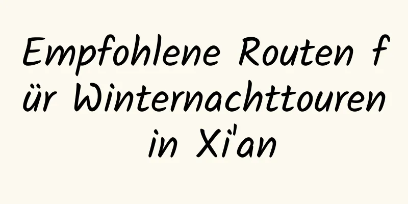 Empfohlene Routen für Winternachttouren in Xi'an