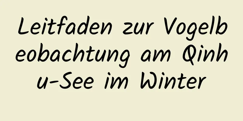 Leitfaden zur Vogelbeobachtung am Qinhu-See im Winter