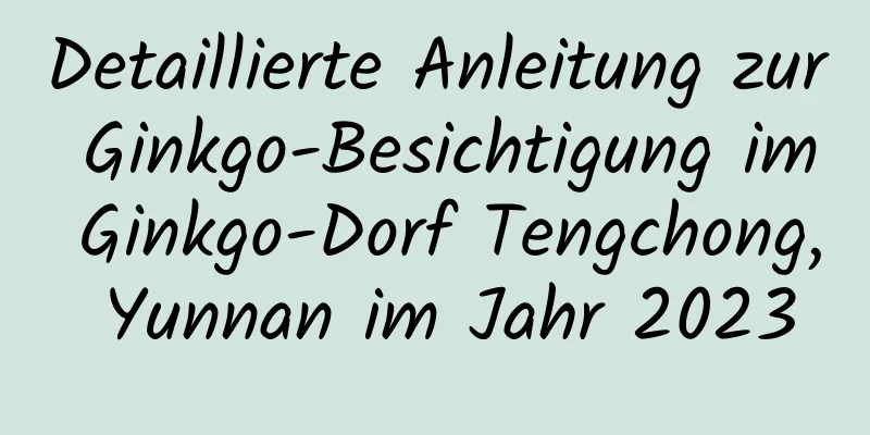 Detaillierte Anleitung zur Ginkgo-Besichtigung im Ginkgo-Dorf Tengchong, Yunnan im Jahr 2023