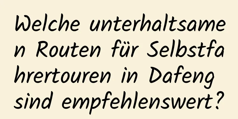 Welche unterhaltsamen Routen für Selbstfahrertouren in Dafeng sind empfehlenswert?