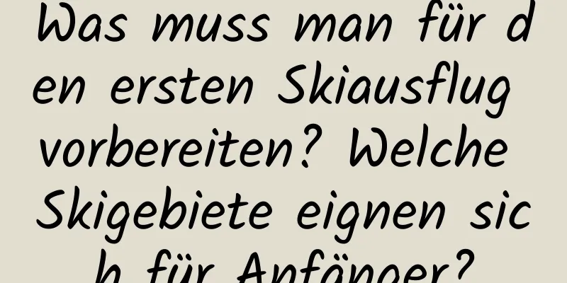 Was muss man für den ersten Skiausflug vorbereiten? Welche Skigebiete eignen sich für Anfänger?