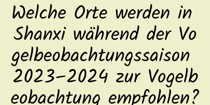 Welche Orte werden in Shanxi während der Vogelbeobachtungssaison 2023–2024 zur Vogelbeobachtung empfohlen?