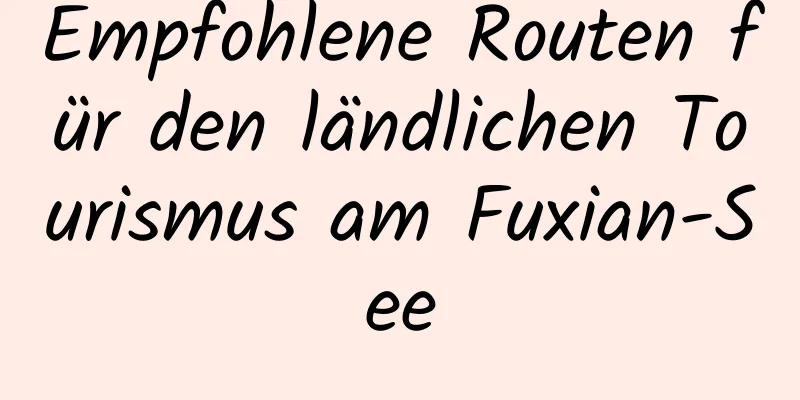 Empfohlene Routen für den ländlichen Tourismus am Fuxian-See