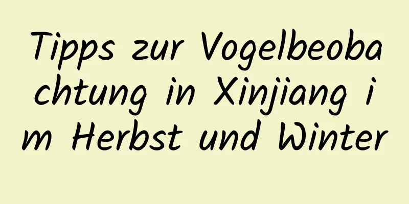 Tipps zur Vogelbeobachtung in Xinjiang im Herbst und Winter