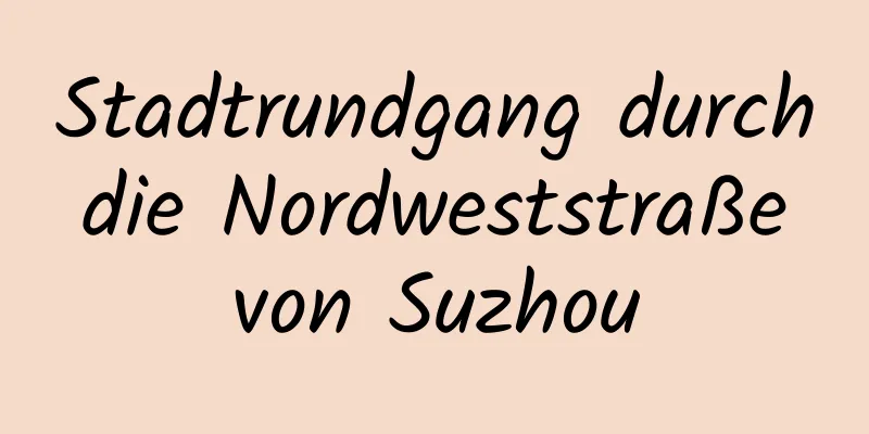 Stadtrundgang durch die Nordweststraße von Suzhou