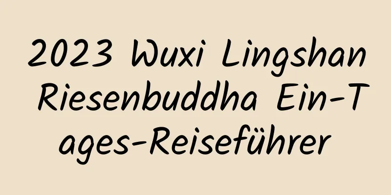 2023 Wuxi Lingshan Riesenbuddha Ein-Tages-Reiseführer