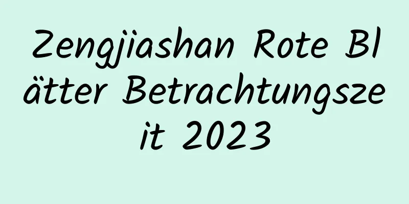 Zengjiashan Rote Blätter Betrachtungszeit 2023