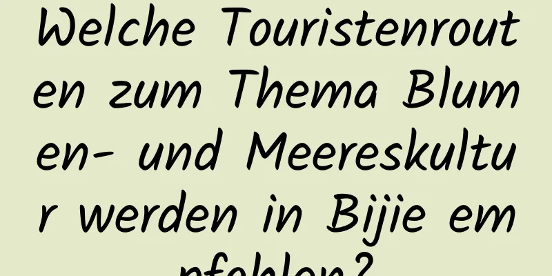 Welche Touristenrouten zum Thema Blumen- und Meereskultur werden in Bijie empfohlen?