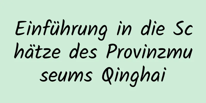 Einführung in die Schätze des Provinzmuseums Qinghai