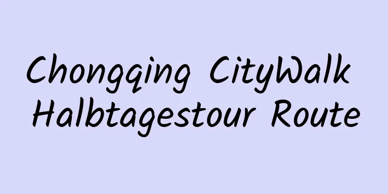 Chongqing CityWalk Halbtagestour Route