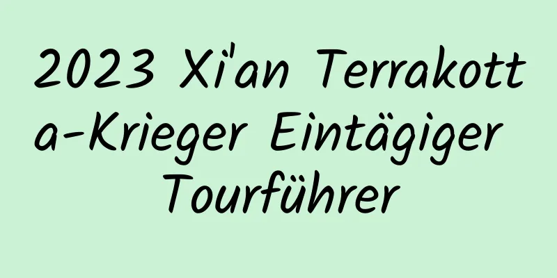 2023 Xi'an Terrakotta-Krieger Eintägiger Tourführer