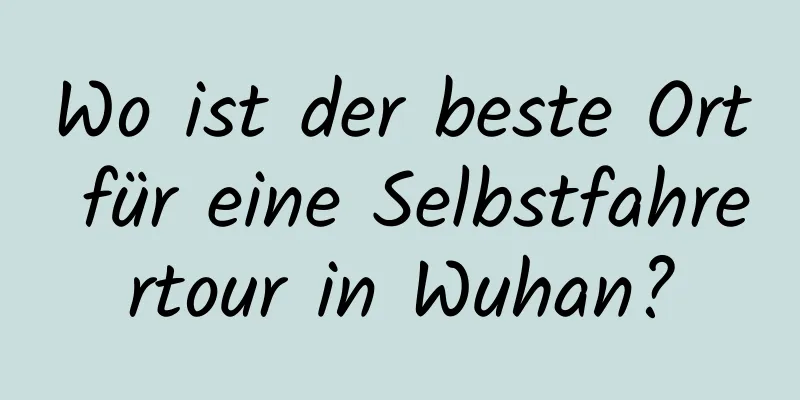 Wo ist der beste Ort für eine Selbstfahrertour in Wuhan?