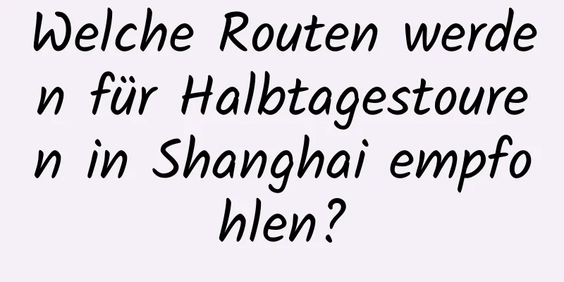 Welche Routen werden für Halbtagestouren in Shanghai empfohlen?