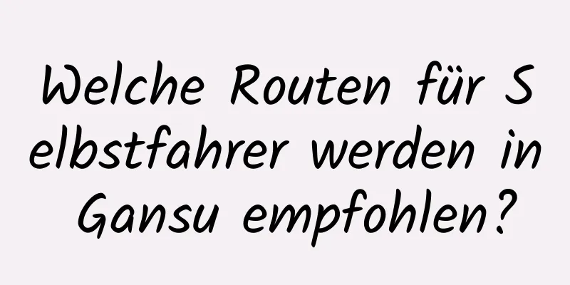 Welche Routen für Selbstfahrer werden in Gansu empfohlen?