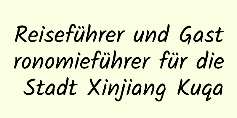 Reiseführer und Gastronomieführer für die Stadt Xinjiang Kuqa