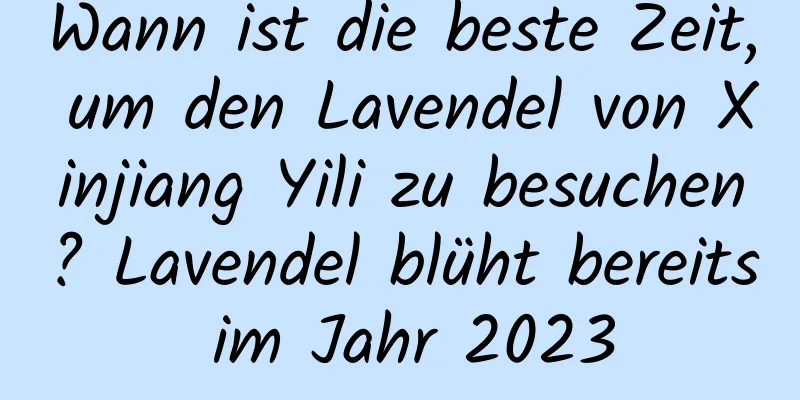 Wann ist die beste Zeit, um den Lavendel von Xinjiang Yili zu besuchen? Lavendel blüht bereits im Jahr 2023