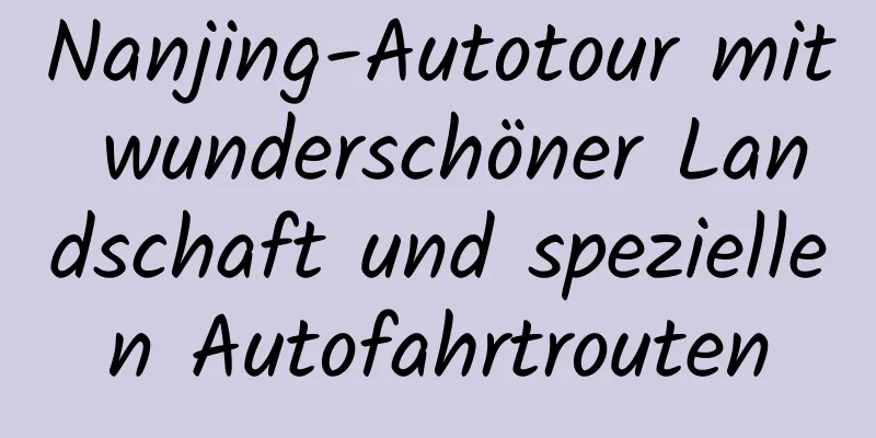 Nanjing-Autotour mit wunderschöner Landschaft und speziellen Autofahrtrouten