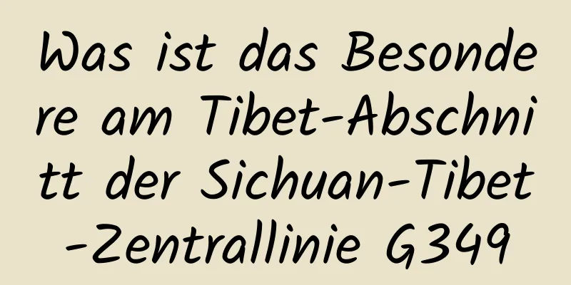 Was ist das Besondere am Tibet-Abschnitt der Sichuan-Tibet-Zentrallinie G349