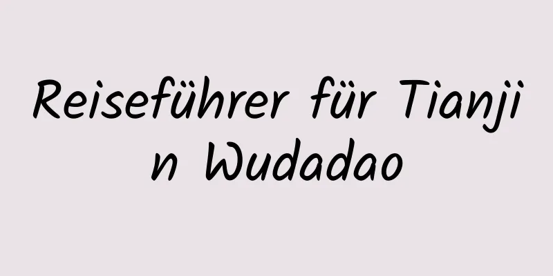 Reiseführer für Tianjin Wudadao