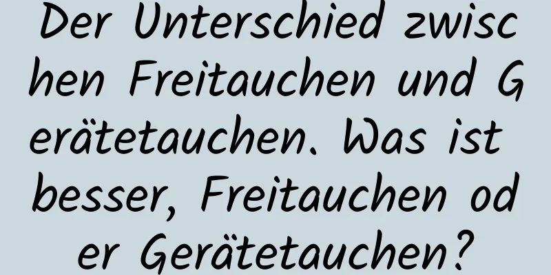 Der Unterschied zwischen Freitauchen und Gerätetauchen. Was ist besser, Freitauchen oder Gerätetauchen?