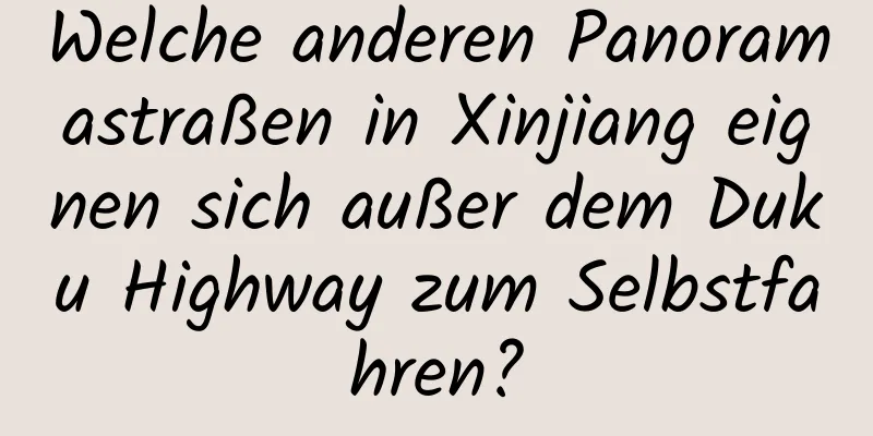 Welche anderen Panoramastraßen in Xinjiang eignen sich außer dem Duku Highway zum Selbstfahren?